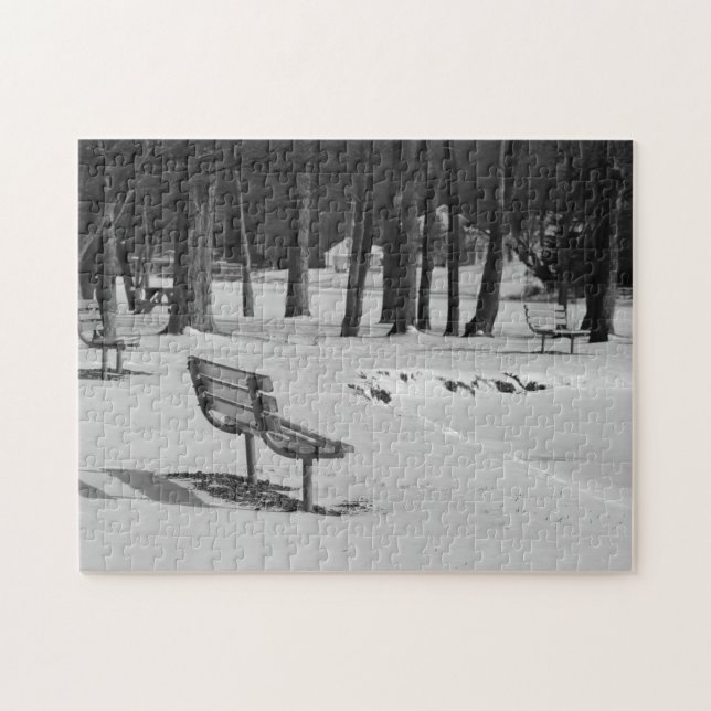 Park Benches Among a Mid Winters Scene Family Fun Jigsaw Puzzle (Horizontal)