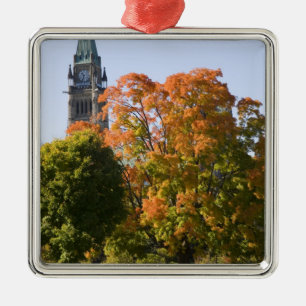 Park beside the Parliment Building in Ottawa, Metal Tree Decoration