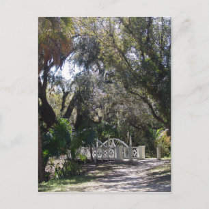 Park Bridge Postcard