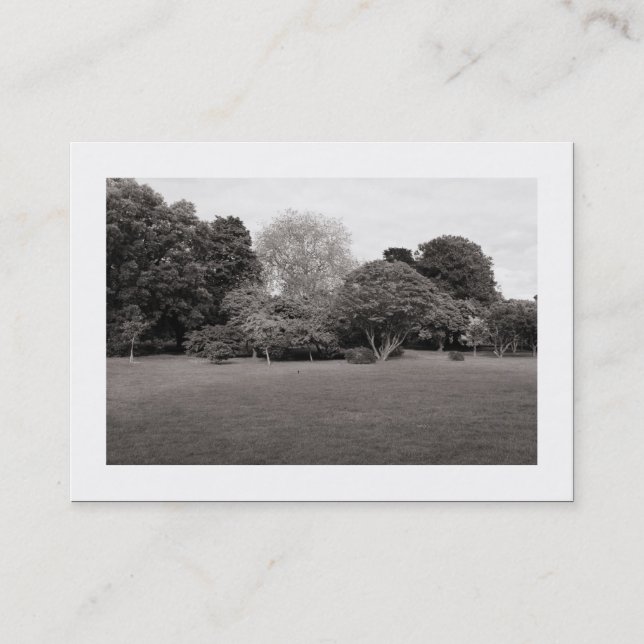 Park Landscape (Bordered) Business Card (Front)