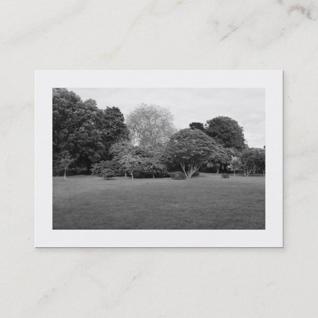 Park Landscape (Bordered) Business Card (Front)