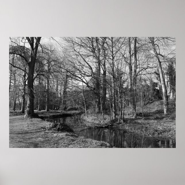 Park Landscape - Bute Park, Cardiff Poster (Front)