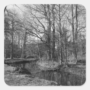 Park Landscape - Bute Park, Cardiff Square Sticker