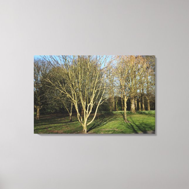 Park Landscape in Early Spring Canvas Print (Front)