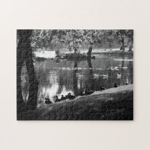 Park Life 11x14 252pc jpcnm Jigsaw Puzzle
