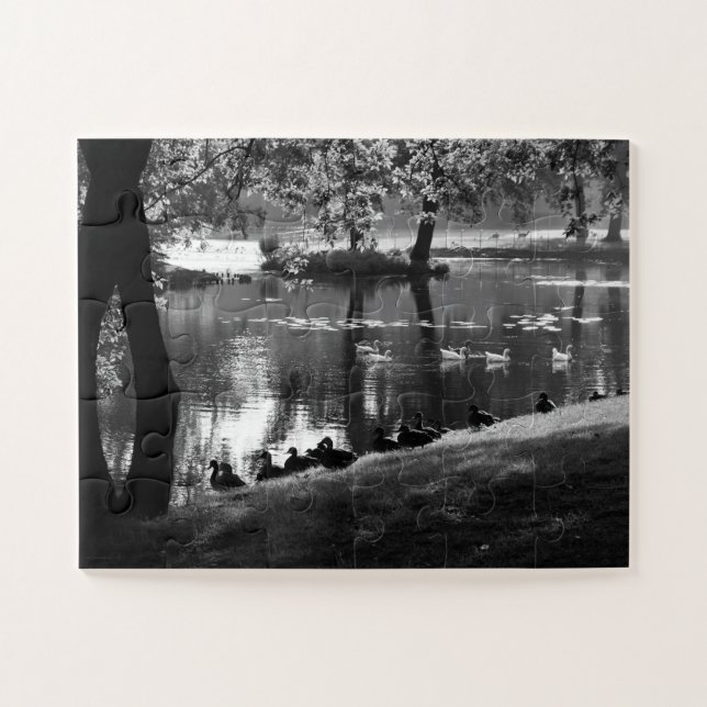 Park Life 11x14 30pc jpcnm Jigsaw Puzzle (Horizontal)