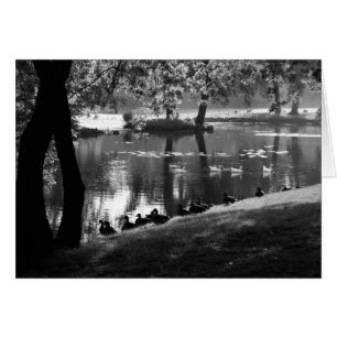 Park Life gccna