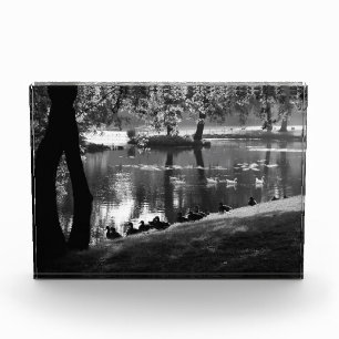 Park Life pba Photo Block