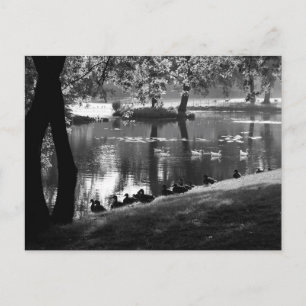 Park Life pccna Postcard