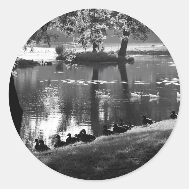 Park Life stcnm Classic Round Sticker (Front)