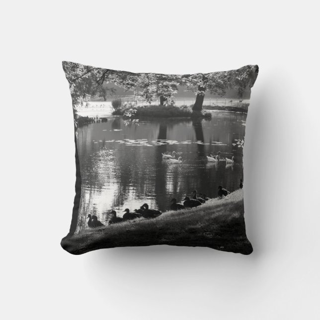 Park Life tpcnm Cushion (Front)