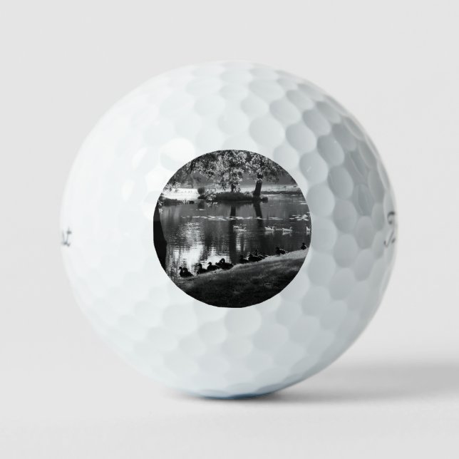 Park Life tpv1 gbm Golf Balls (Front)