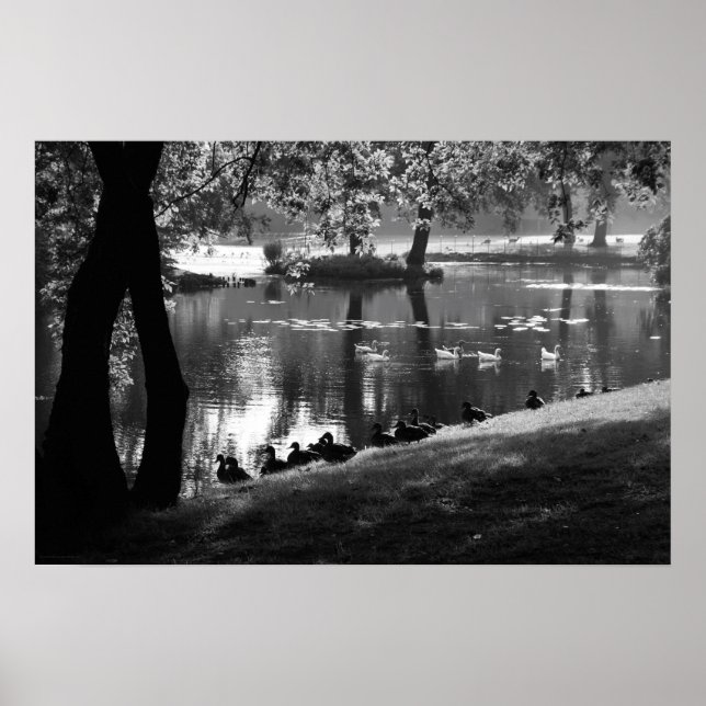 Park Life wapcnm Poster (Front)