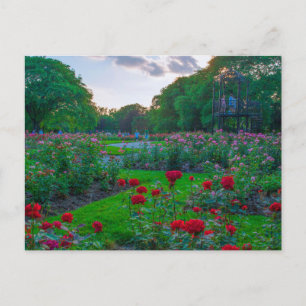 Park of Roses, Columbus, Ohio Postcard