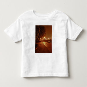 Park on a foggy night decorated for Christmas Toddler T-Shirt