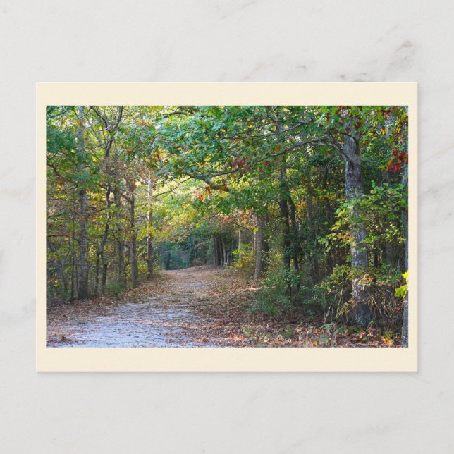 Park Path Postcard (Front)