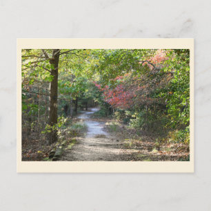 Park Path Postcard