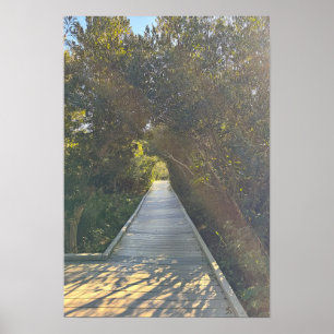 Park Path Poster