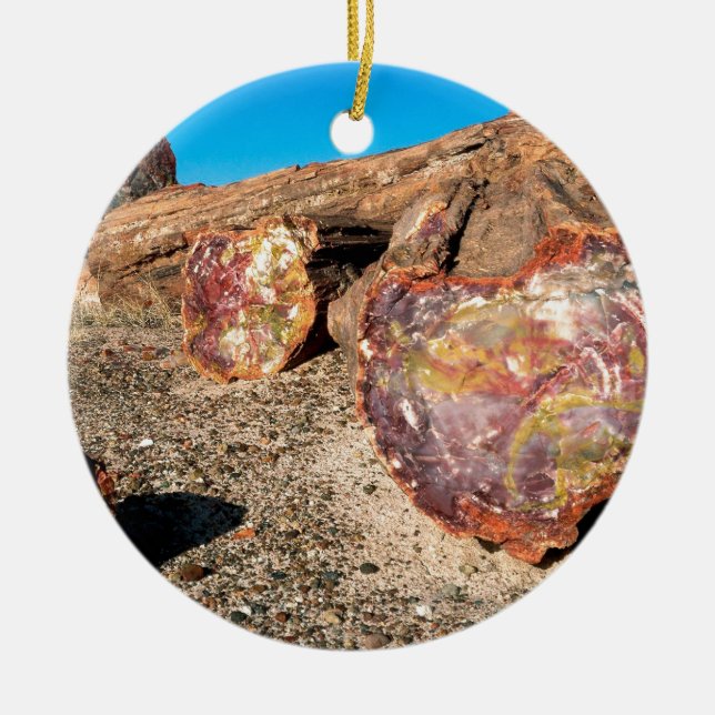 Park Petrified Forest Ceramic Tree Decoration (Front)