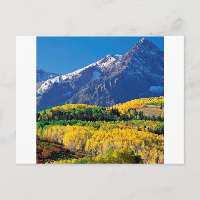 Park Sneffels Uncompahgre Forest Colorado Postcard (Front)
