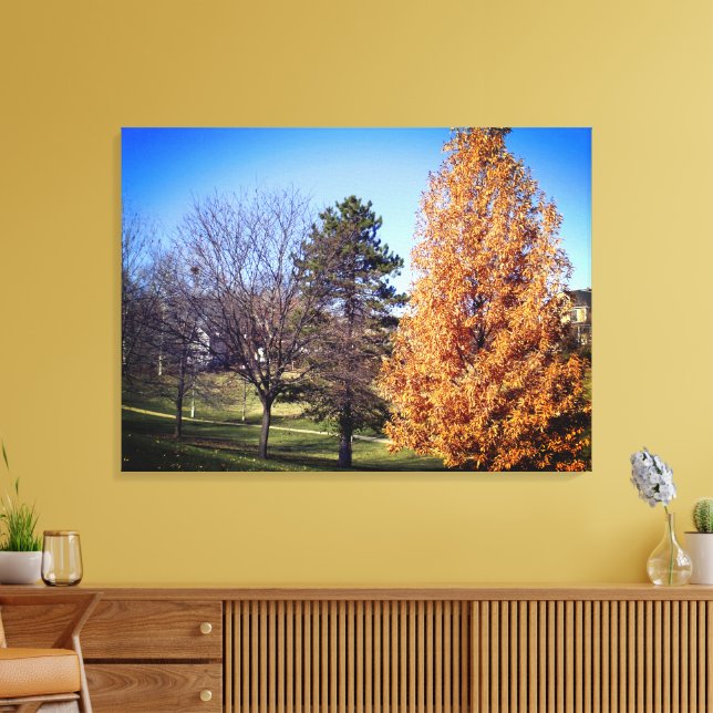 Park Stretched Canvas Print (Insitu(LivingRoom))