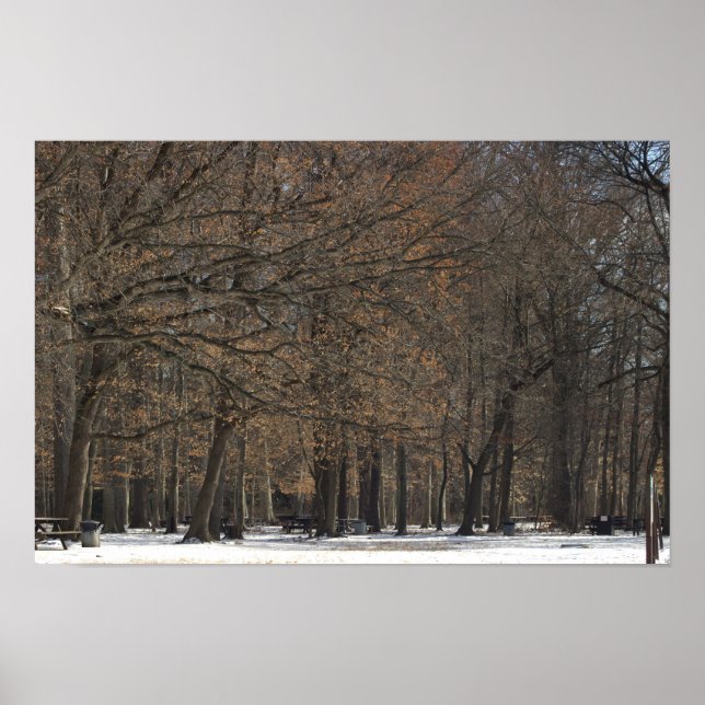 Park Trees and Snow Poster (Front)