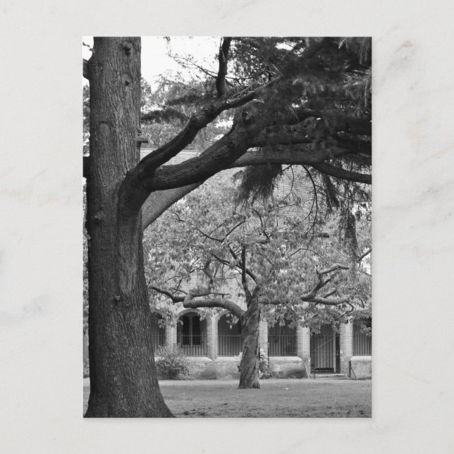 Park view postcard (Front)