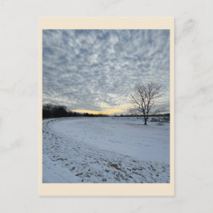 Park Winter Sunset Postcard