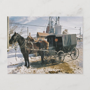 Parked Horse and Buggy Postcard