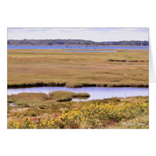 Parker River national Wildlife Refuge: Plum Island