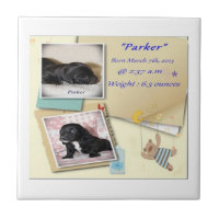 Parkers Birth Certificate