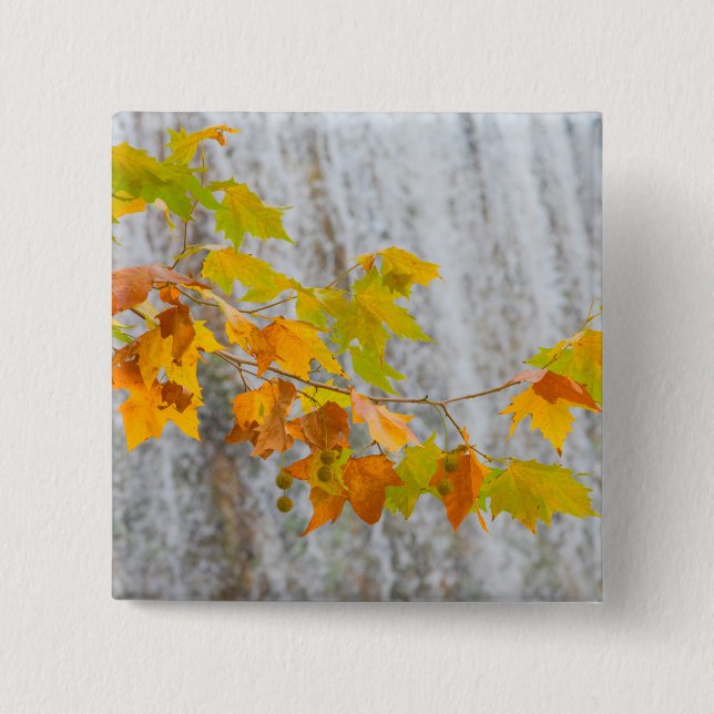 Parque Natural del Monasterio - Fall Leaves 15 Cm Square Badge (Front)