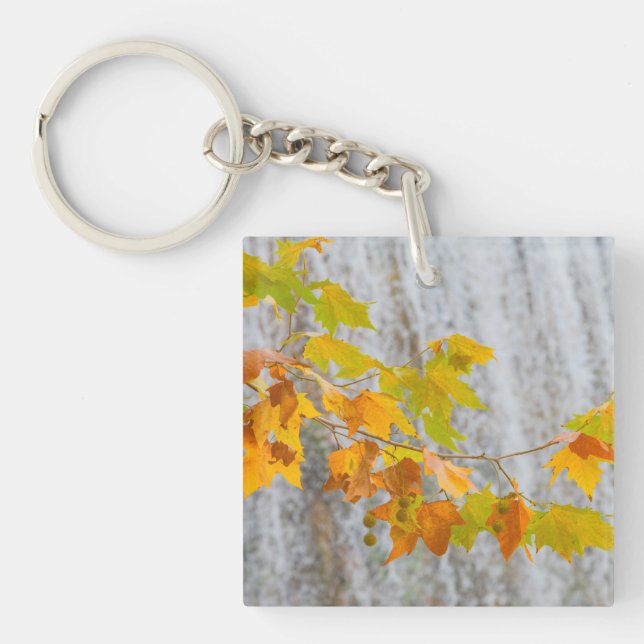 Parque Natural del Monasterio - Fall Leaves Key Ring (Front)