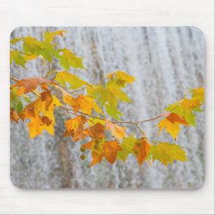 Parque Natural del Monasterio - Fall Leaves Mouse Pad