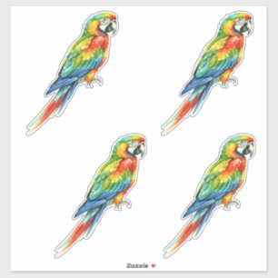 Parrot