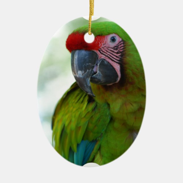 parrot-63.jpg ceramic tree decoration (Front)