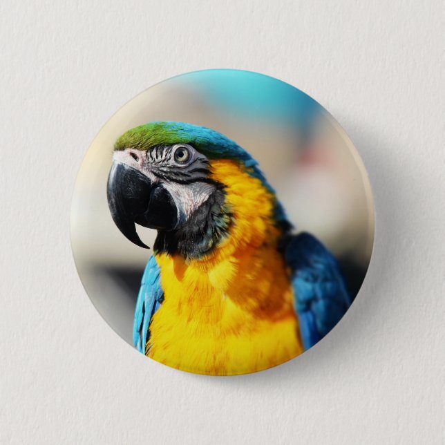 parrot 6 cm round badge (Front)