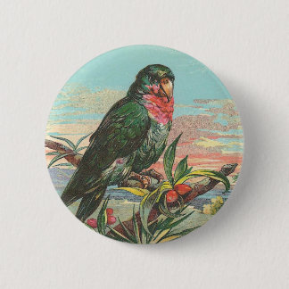 Parrot 6 Cm Round Badge