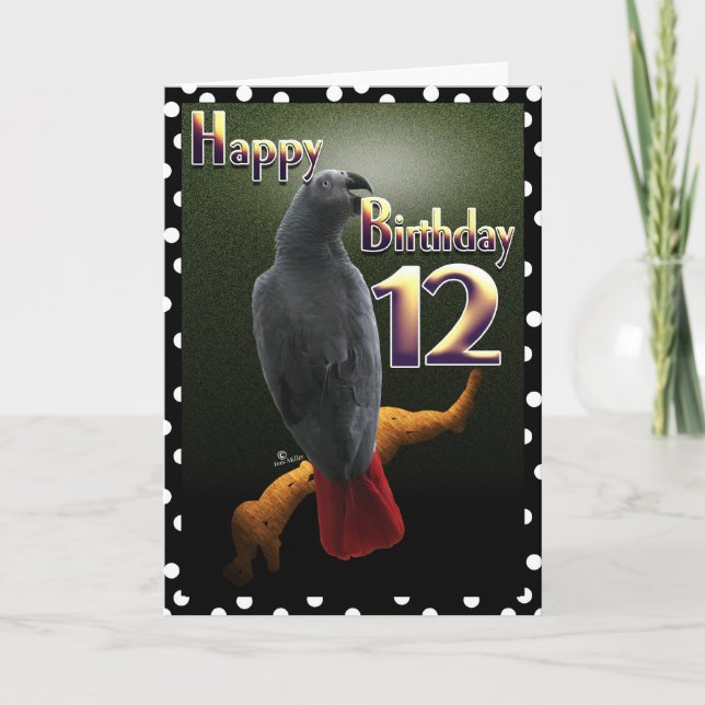 Parrot African Grey /grey Happy 12 Birthday Avian Card (Front)