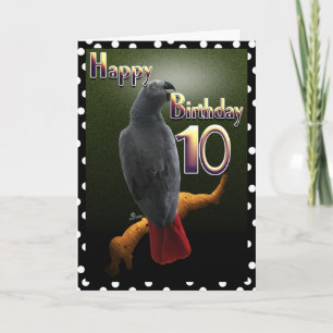 Parrot African Grey Happy 10 Birthday bird card