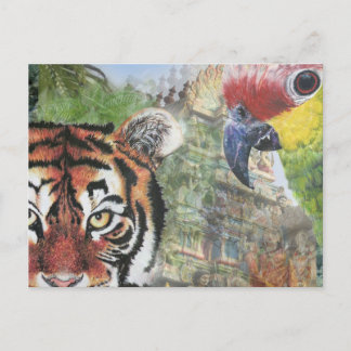 Parrot and tiger postcard