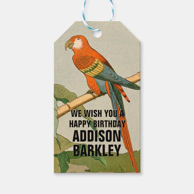 Parrot Animal Party Celebration Gift Tags (Front)