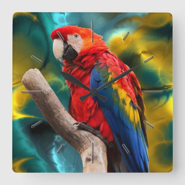 Parrot Art 1 Options Square Wall Clock (Front)