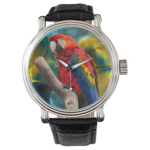 Parrot Art 1 Watch & Numeral Options