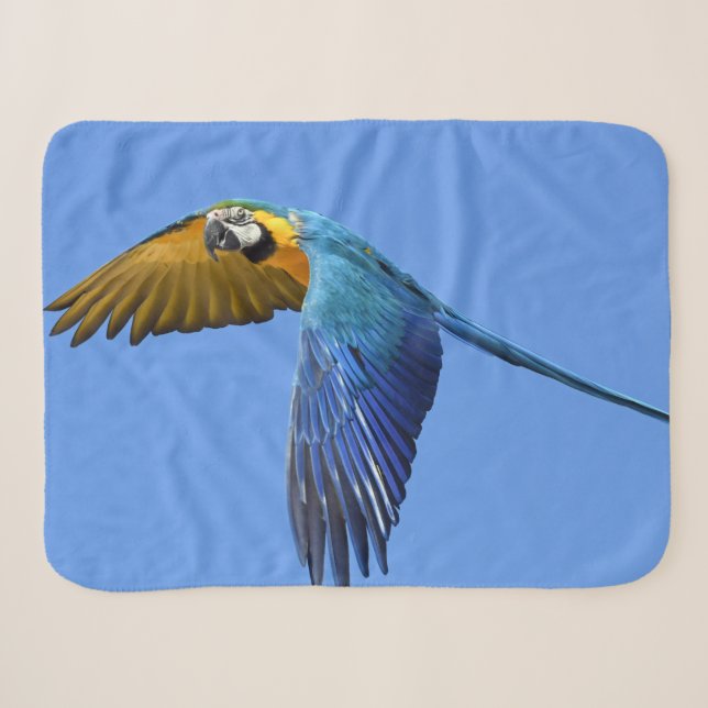 Parrot Baby Blanket Small (Front (Horizontal))