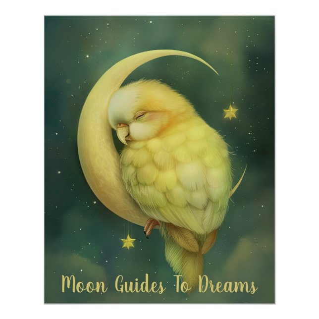 Parrot bird baby sleeping on Moon Poster (Front)