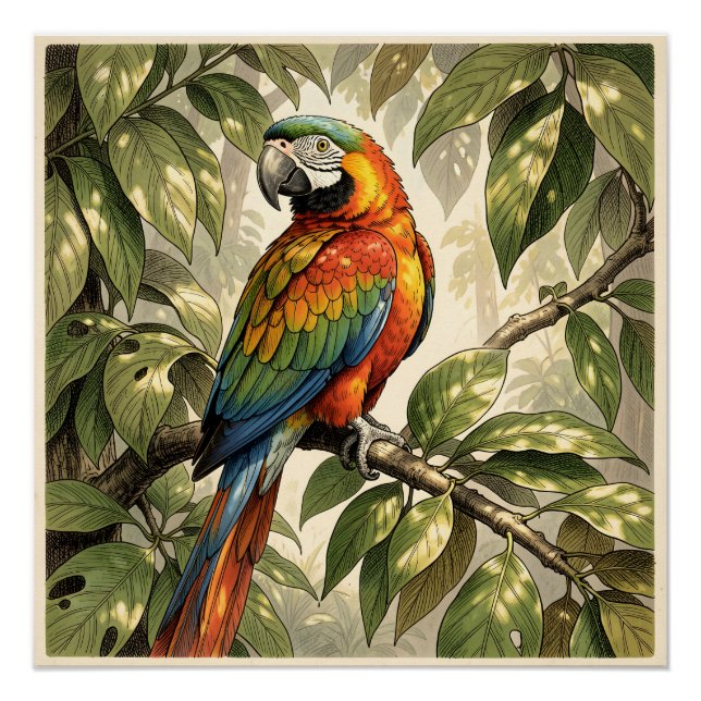 Parrot bird on tree drawing poster (Front)