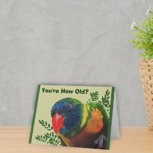Parrot Birthday Card
