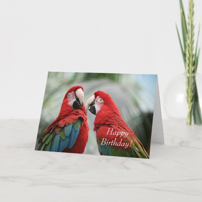 Parrot Birthday Greeting Card (Front)