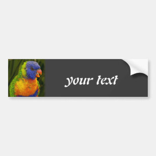 parrot bumper sticker